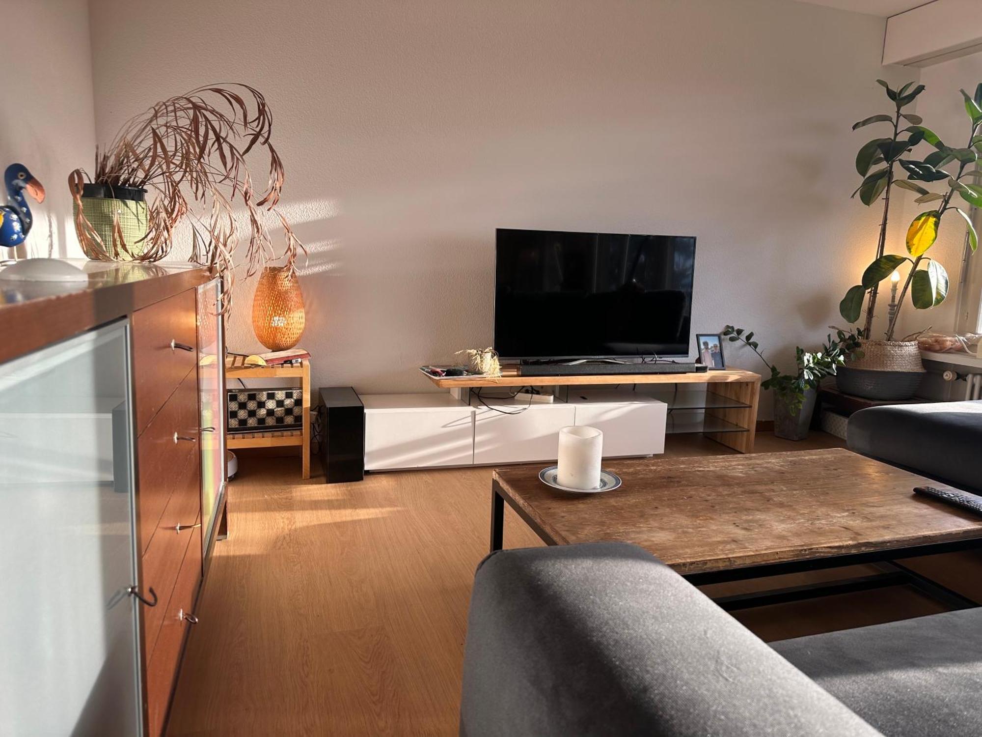 Lovely Room, 15 Min From Center, Mountain View Zurigo Esterno foto