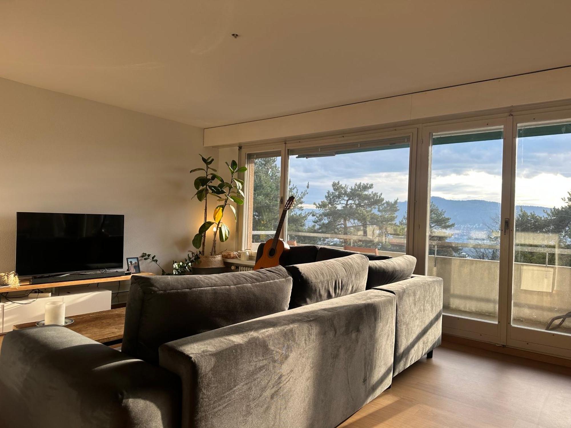 Lovely Room, 15 Min From Center, Mountain View Zurigo Esterno foto